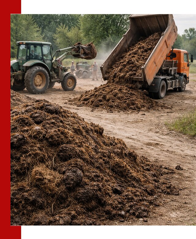 Доставка навоза самосвалами в Кореновске для сельхозпотребностей
